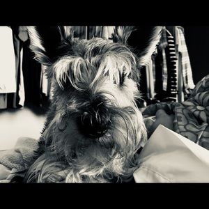 Meet your Posher, Kamalia